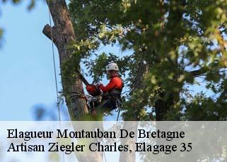 Elagueur  montauban-de-bretagne-35360 Artisan Ziegler Charles, Elagage 35