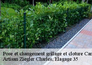 Pose et changement grillage et cloture  campel-35330 Artisan Ziegler Charles, Elagage 35