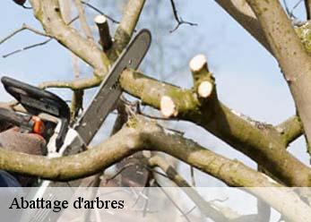 Abattage d'arbres