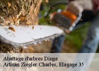 Abattage d'arbres  dinge-35440 Artisan Ziegler Charles, Elagage 35