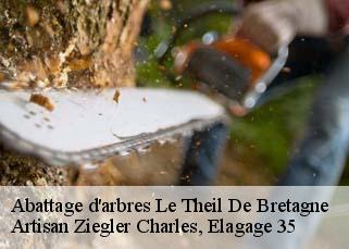 Abattage d'arbres  le-theil-de-bretagne-35240 Artisan Ziegler Charles, Elagage 35