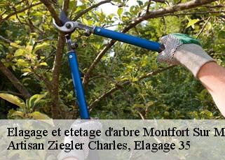 Elagage et etetage d'arbre  montfort-sur-meu-35160 Artisan Ziegler Charles, Elagage 35