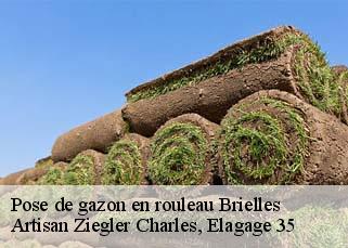 Pose de gazon en rouleau  brielles-35370 Artisan Ziegler Charles, Elagage 35